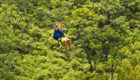 Zipline